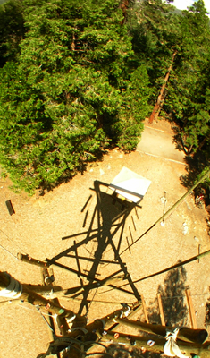 View from Tower Top